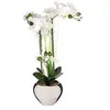 Image de Atmosphera Créateur d'intérieur - Composition Florale & Vase "Orchidée" 53cm Argent