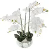 Image de Atmosphera, Plantes artificielles, 155640