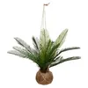 Image de Atmosphera Créateur d'intérieur - Plante Artificielle Palmier "Cuba" 55cm Vert