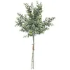 Image de bouquet eucalyptus 63cm - jja 179274