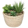 Image de Atmosphera Créateur d'intérieur - Plante Artificielle "Composition" 18cm Naturel & Vert