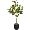Image de Atmosphera Créateur d'intérieur - Plante Artificielle "Citronnier" 73cm Multicolore