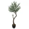 Image de Atmosphera Créateur d'intérieur - Plante Artificielle en Pot Olivier 140cm Vert & Noir