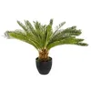 Image de plante ananas artificiel 72cm - 164252