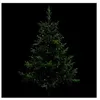 Image de Fééric Lights and Christmas - Guirlande de Noël "Copp Pluie" 165cm Multicolore