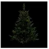 Image de Fééric Lights and Christmas - Guirlande de Noël "Copp Pluie" 165cm Blanc Chaud