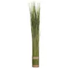 Image de Atmosphera, Plantes artificielles, 103095