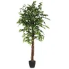 Image de Atmosphera Créateur d'intérieur - Plante Artificielle "Ficus" 185cm Vert