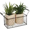Image de Atmosphera Créateur d'intérieur - Lot de 2 Aloe Vera & Panier "Well" 23cm Vert