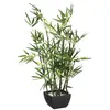 Image de Plante artificielle - Bambou - H 70 cm