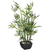 Image de Atmosphera, Plantes artificielles, 109591 (70 cm)