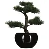 Image de Atmosphera - Bonsaï artificiel avec pot - H. 36 cm - Noir