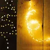 Image de Fééric Lights and Christmas - Cascade Lumineuse Extérieure "Copper Lux" 1m Blanc Chaud