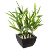 Image de Atmosphera Créateur d'intérieur - Plante Artificielle en Pot "Bambou" 26cm Noir
