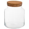 Image de contenant terrarium verre bouchon liège 21.5cm - 168576