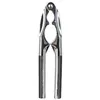 Image de FIVE Simply Smart - Casse-Noix en Métal Solomon 16cm Argent