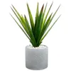 Image de Atmosphera Créateur d'intérieur - Plante Artificielle en Pot "Aloe Vera" 47cm Vert