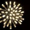 Image de Guirlande programmable 300 LED 30 mètres blanc chaud FT