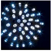 Image de Guirlande programmable 300 LED 30 mètres blanc froid & bleu FT