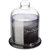 Image de Comptoir de la Bougie - Bougie Parfumée sous Cloche Loyd 650g Délices Frangipanier