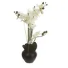 Image de Orchidée et vase en céramique - 50 x 28 x 53 cm - Noir