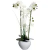 Image de Atmosphera Créateur d'intérieur - Composition Florale & Vase "Orchidée" 53cm Blanc