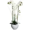 Image de Atmosphera, Plantes artificielles, 136510B (53 cm)