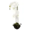 Image de Atmosphera Créateur d'intérieur - Fleur Artificielle en Pot "Orchidée" 115cm Blanc