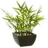Image de Atmosphera, Plantes artificielles, 136751 (35 cm)
