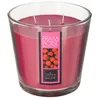 Image de Comptoir de la Bougie - Bougie Parfumée Nina 500g Framboise