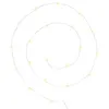 Image de Guirlande lumineuse micro-led - atmosphera