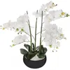 Image de Orchidée artificielle en pot - H 65 cm - Blanc