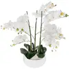 Image de Atmosphera, Plantes artificielles, 155640B (65 cm)
