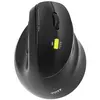 Image de Port Designs 910007 (Filaire, Sans fil), Souris, Noir