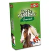 Image de Défis Nature - Chevaux