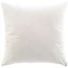 Image de Coussin Déco en Velours "Casual" 60x60cm Naturel