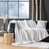 Image de Plaid imitation fourrure/sherpa Alaska 125x150