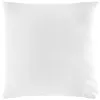 Image de Taie d'Oreiller Microfibre "Oscar" 63x63cm Blanc