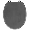 Image de Abattant WC Effet Béton "Alium" 46cm Gris