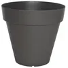 Image de Soleilla Rond 50 Gris