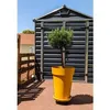 Image de Bac a fleurs RIVIERA SOLEILLA - Plastique - Hauteur 53 cm - Jaune