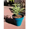 Image de Bac a fleurs rond RIVIERA SOLEILLA - Plastique - Diametre 60 cm - Bleu