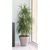 Image de Pot de fleurs Loft avec réserve d'eau - Rond - Ø 50 x H 46 cm -Taupe RIVIERA
