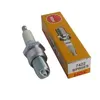 Image de Jardin pratic bougie dallumage pour tondeuse ngk bpr5es