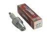 Image de Jardin pratic bougie dallumage pour tondeuse champion rn11yc