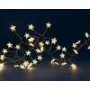 Image de micro led grappe avec déco étoiles