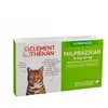 Image de Clément Thékan Milprazikan Chat x 2