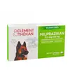 Image de Clément Thékan Milprazikan Chien x 2