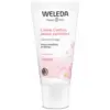 Image de Humexphyto Lierre Grimpant Sans Sucre Solution buvable 100 ml