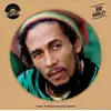 Image de Vinylart - Bob Marley - édition colorée